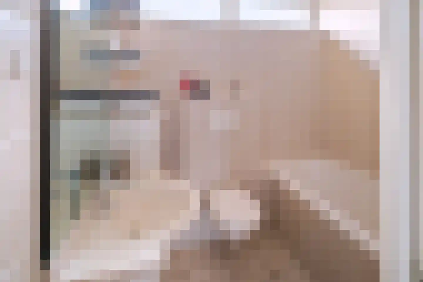 Nachtegaallaan 115 Helmond thumbnail 24