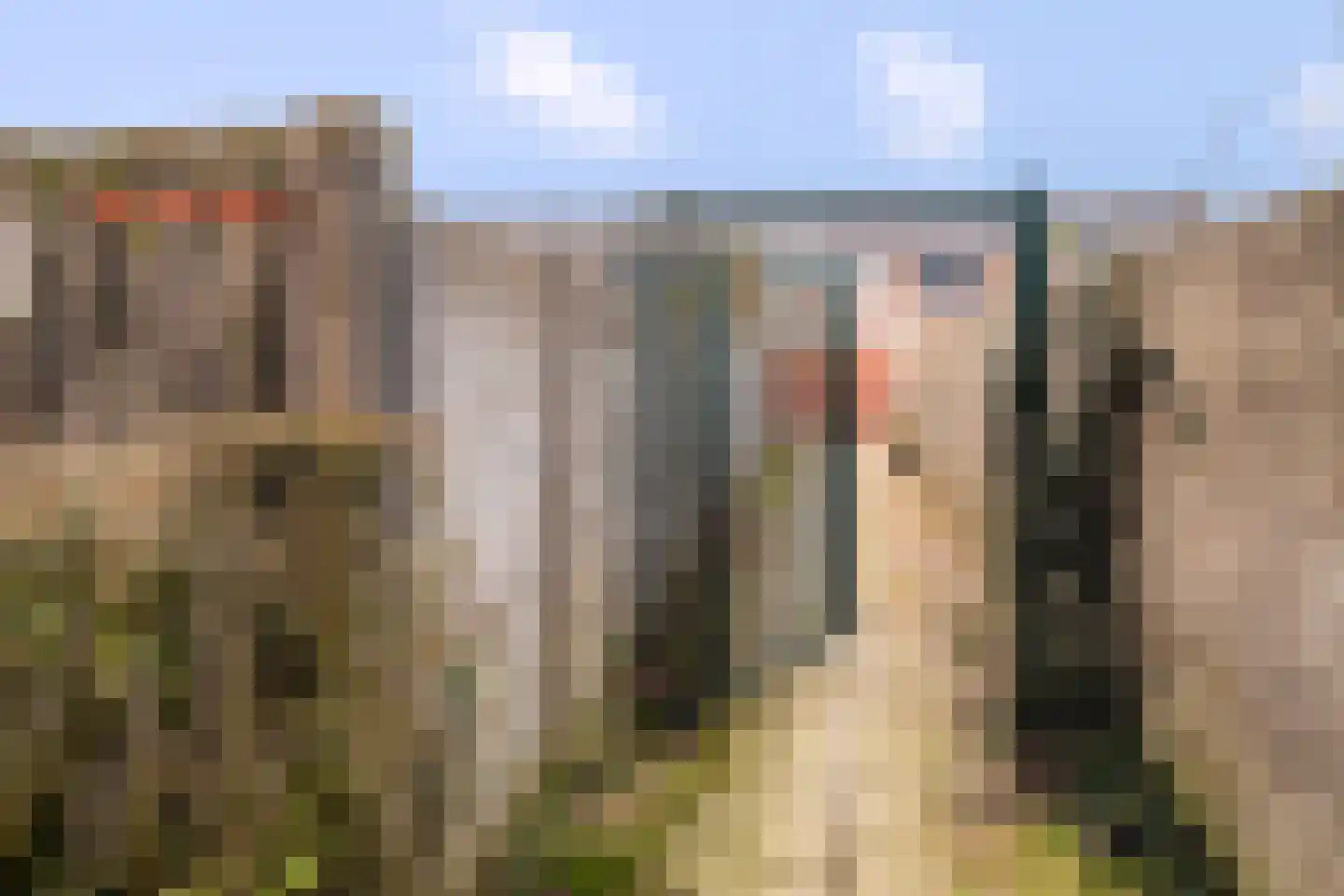 Nachtegaallaan 115 Helmond thumbnail 5