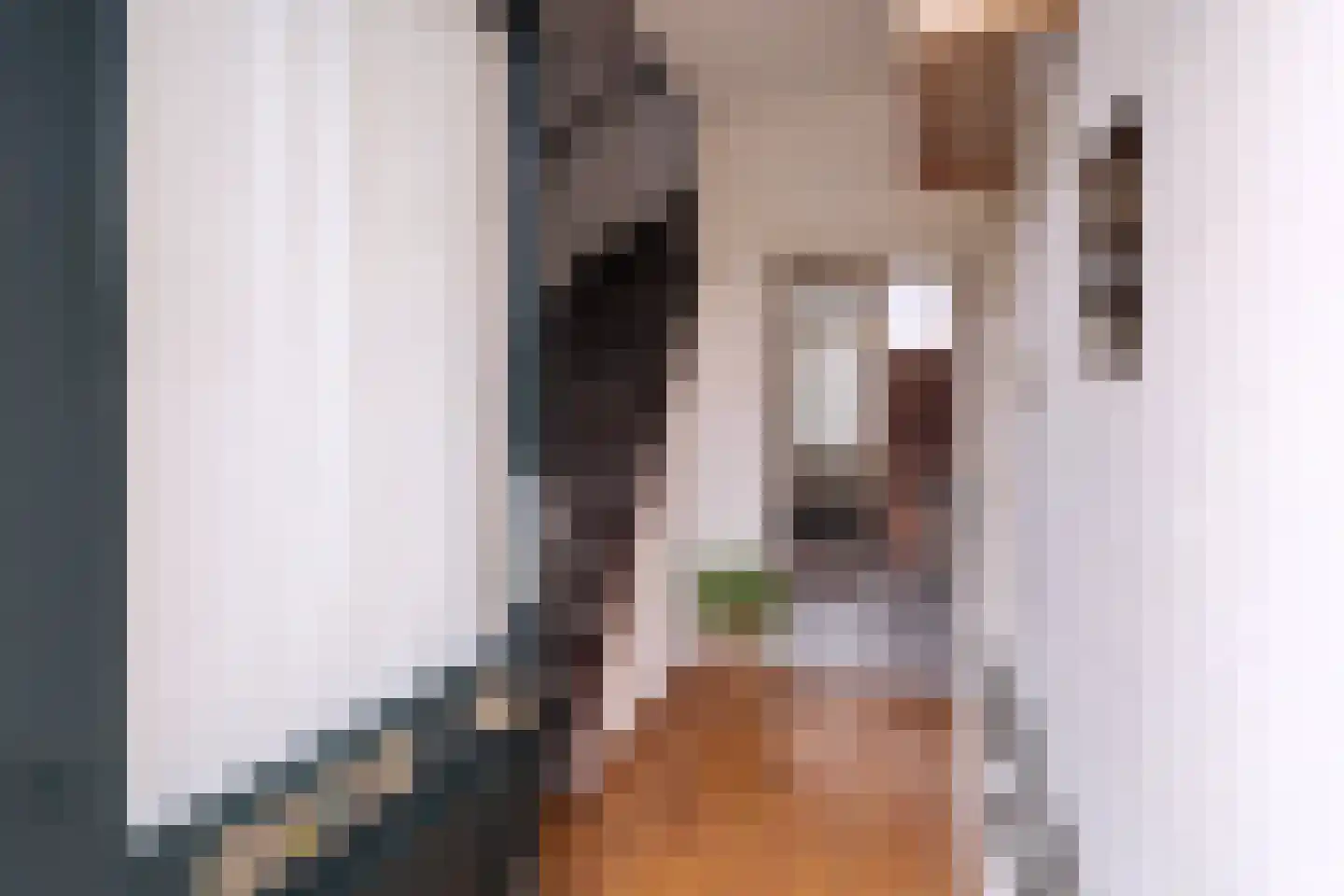 Nachtegaallaan 115 Helmond thumbnail 8