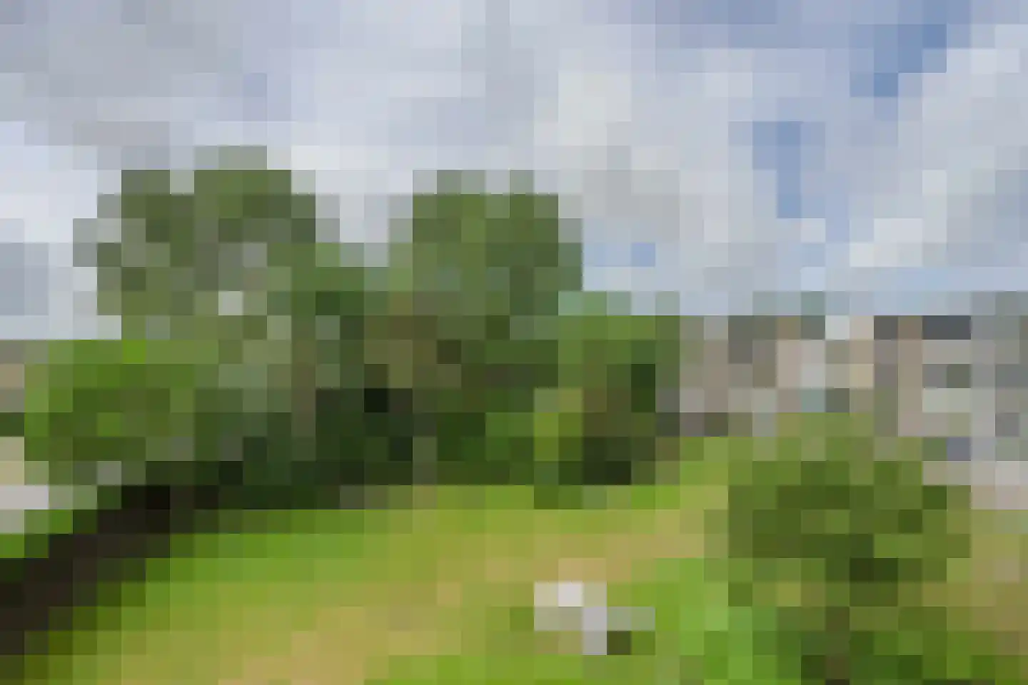 Nachtegaallaan 127 Katwijk thumbnail 21