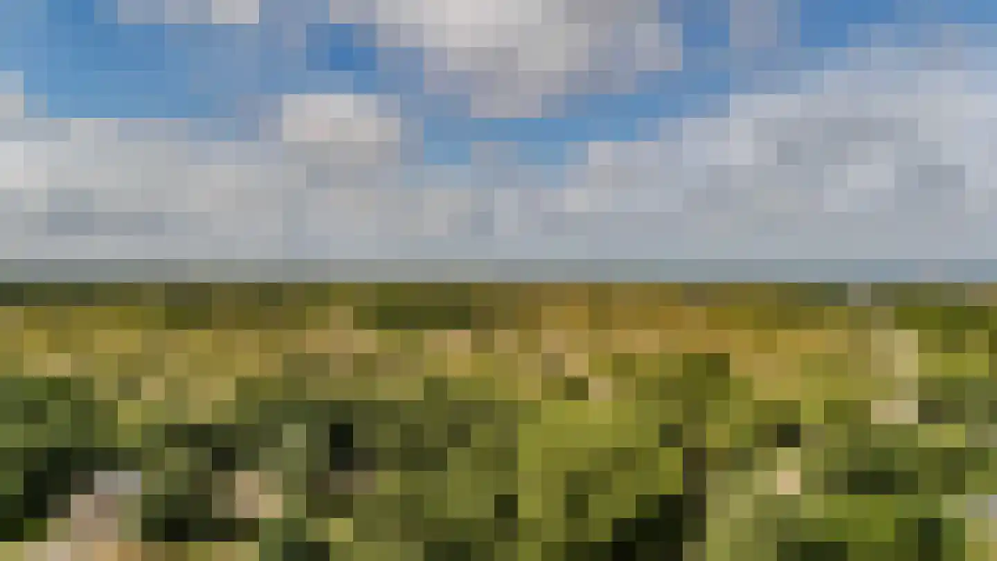 Nachtegaallaan 127 Katwijk thumbnail 42