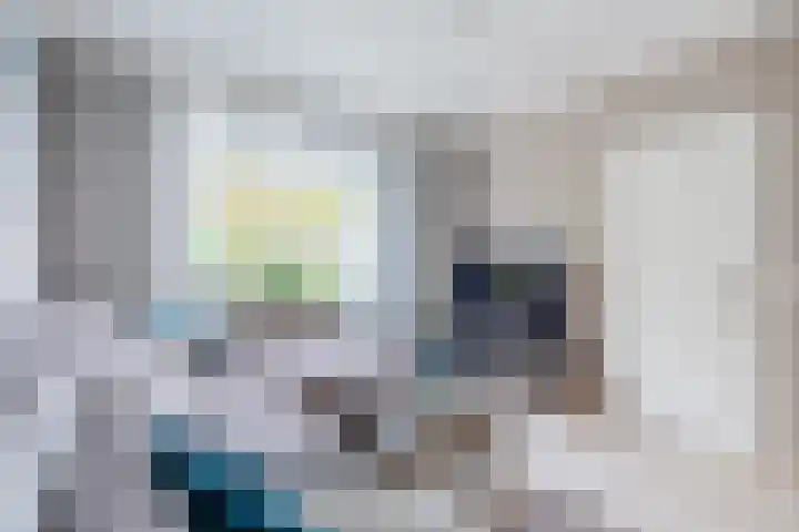 Nachtegaallaan 129 Helmond thumbnail 14