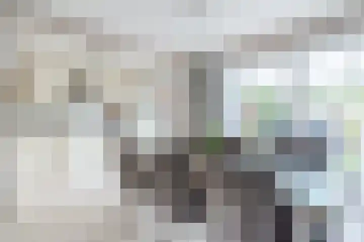 Nachtegaallaan 129 Helmond thumbnail 17