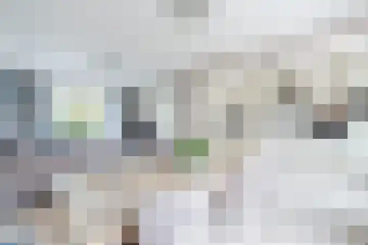 Nachtegaallaan 129 Helmond thumbnail 18
