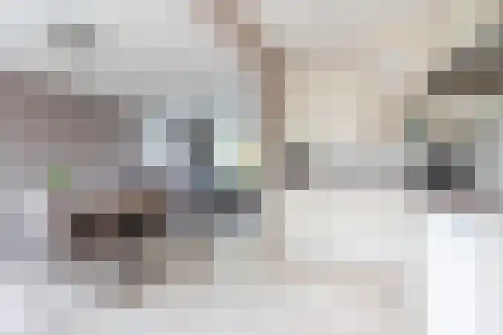 Nachtegaallaan 129 Helmond thumbnail 4