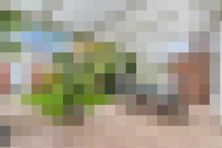 Nachtegaallaan 129 Helmond thumbnail 40