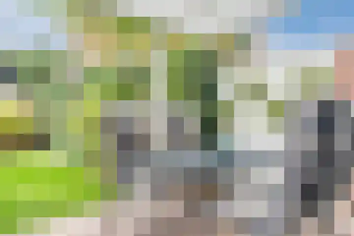 Nachtegaallaan 129 Helmond thumbnail 41