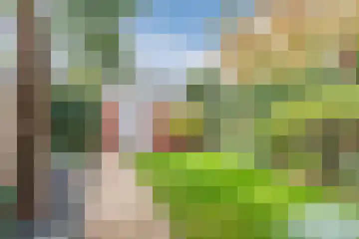 Nachtegaallaan 129 Helmond thumbnail 43