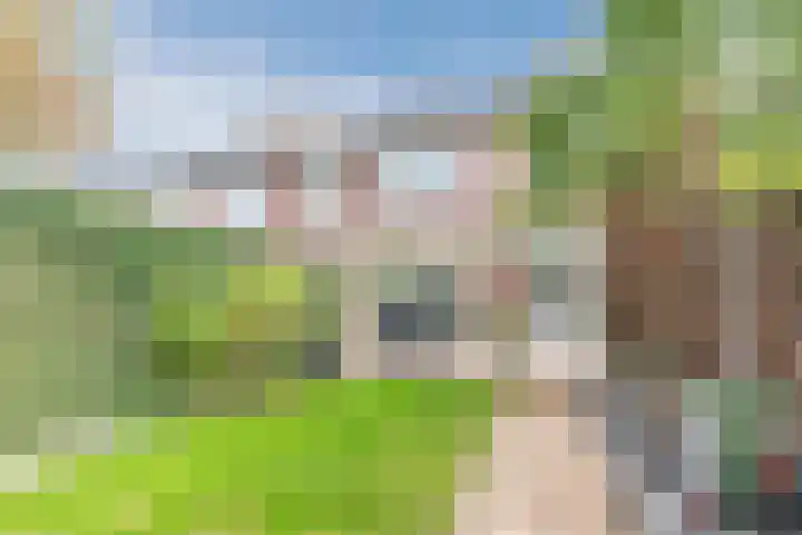 Nachtegaallaan 129 Helmond thumbnail 45