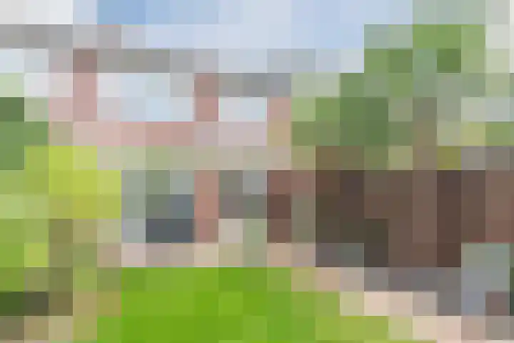 Nachtegaallaan 129 Helmond thumbnail 46