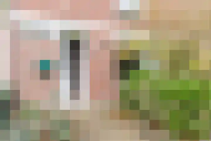 Nachtegaallaan 129 Helmond thumbnail 9