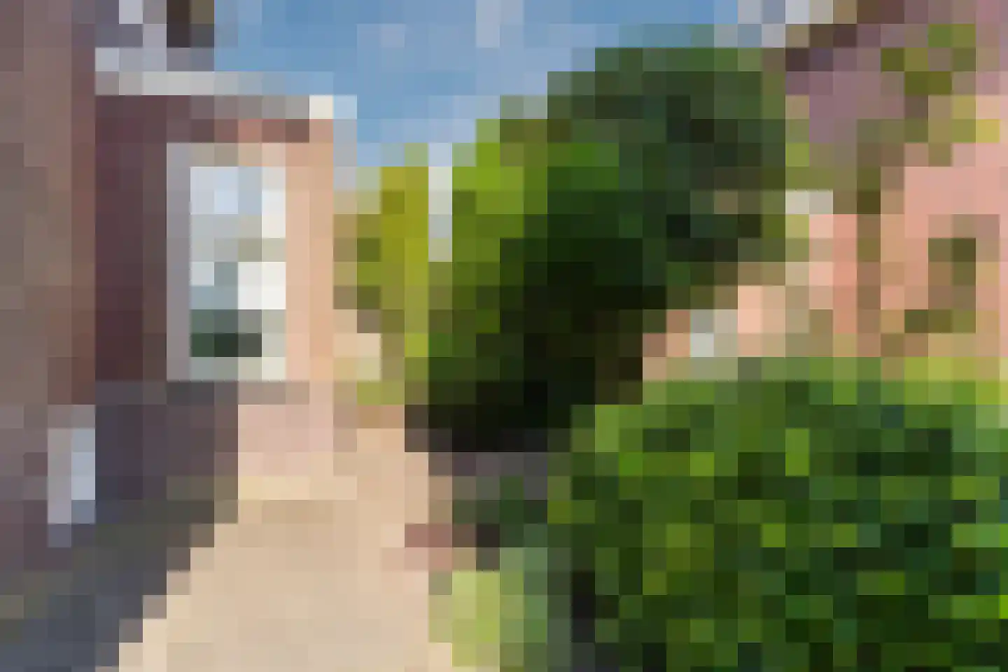 Nachtegaallaan 13 Valkenswaard thumbnail 55