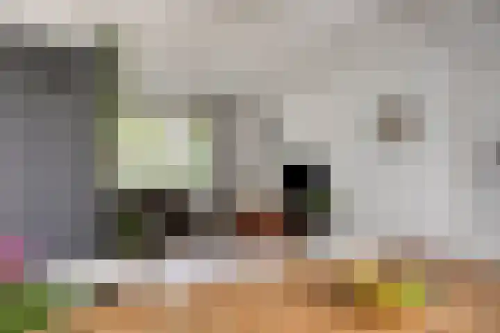 Nachtegaallaan 131 Helmond thumbnail 17