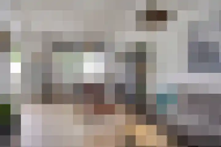 Nachtegaallaan 131 Helmond thumbnail 19