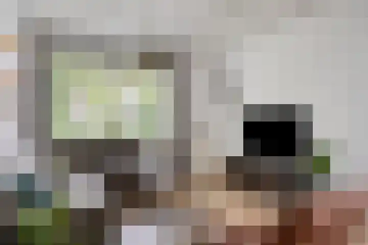 Nachtegaallaan 131 Helmond thumbnail 20