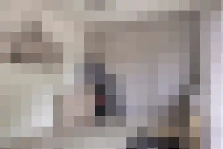 Nachtegaallaan 131 Helmond thumbnail 25