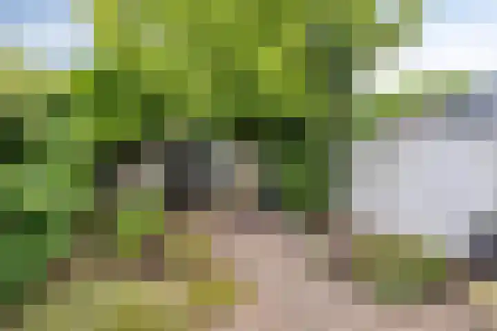 Nachtegaallaan 131 Helmond thumbnail 34