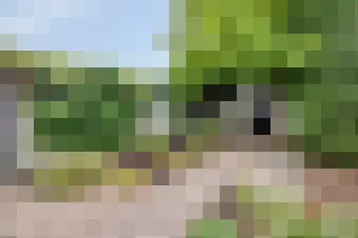 Nachtegaallaan 131 Helmond thumbnail 36