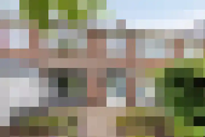Nachtegaallaan 131 Helmond thumbnail 37
