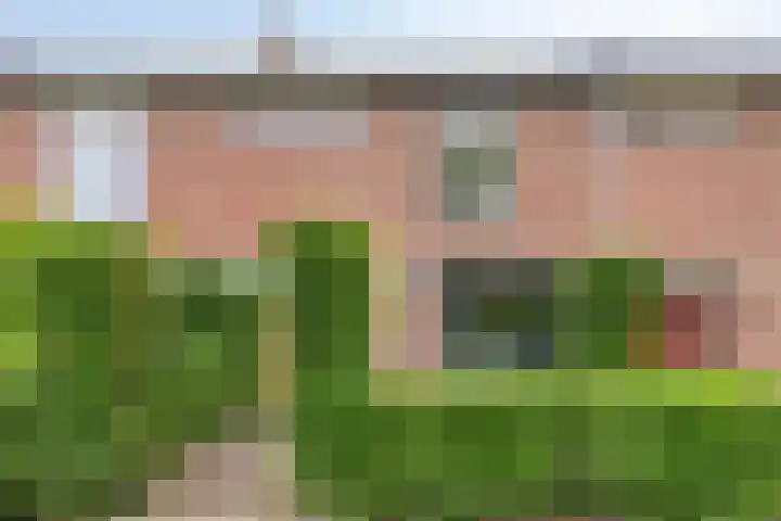 Nachtegaallaan 131 Helmond thumbnail 47