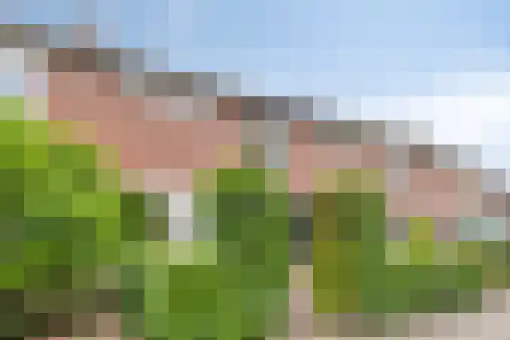 Nachtegaallaan 131 Helmond thumbnail 8