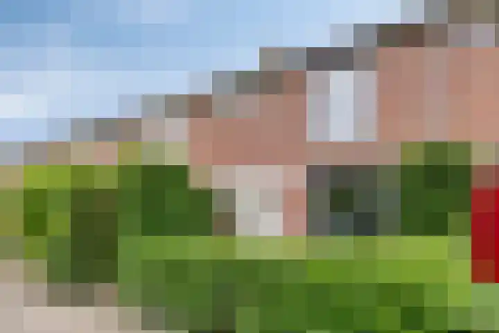 Nachtegaallaan 131 Helmond thumbnail 9