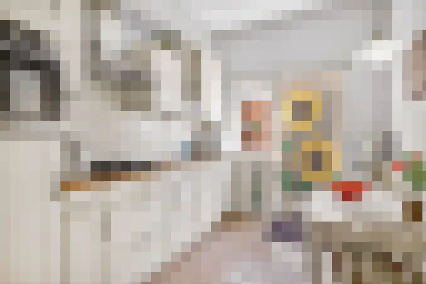 Nachtegaallaan 15 Ede thumbnail 13