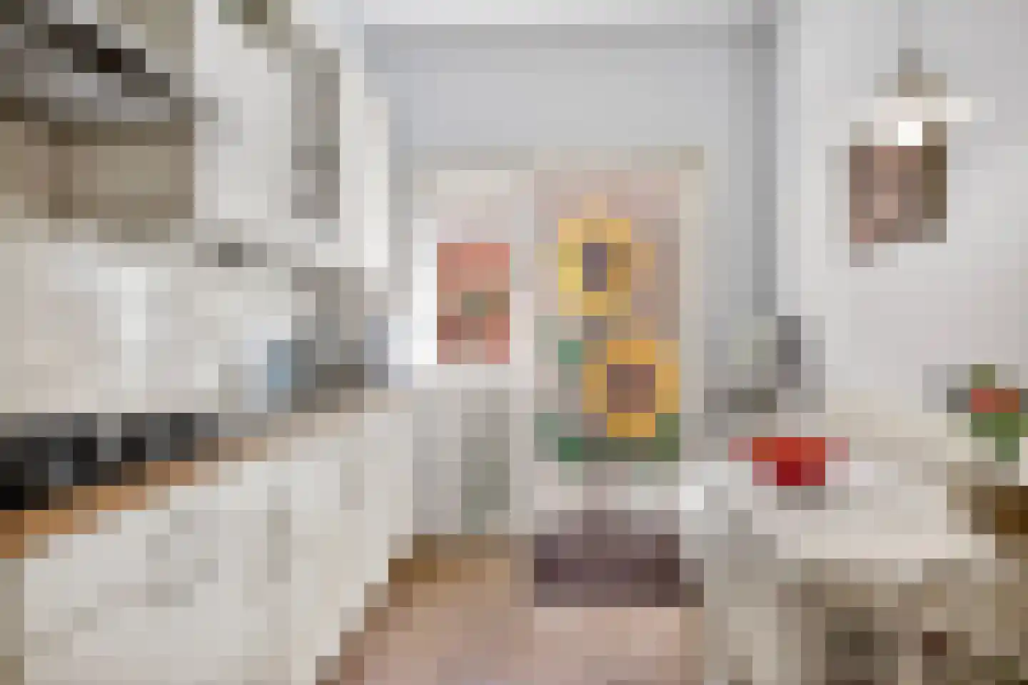 Nachtegaallaan 15 Ede thumbnail 14