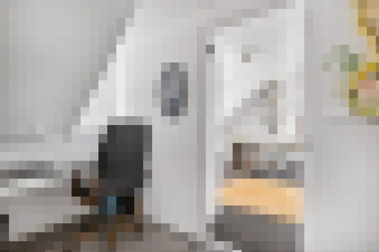 Nachtegaallaan 15 Ede thumbnail 31