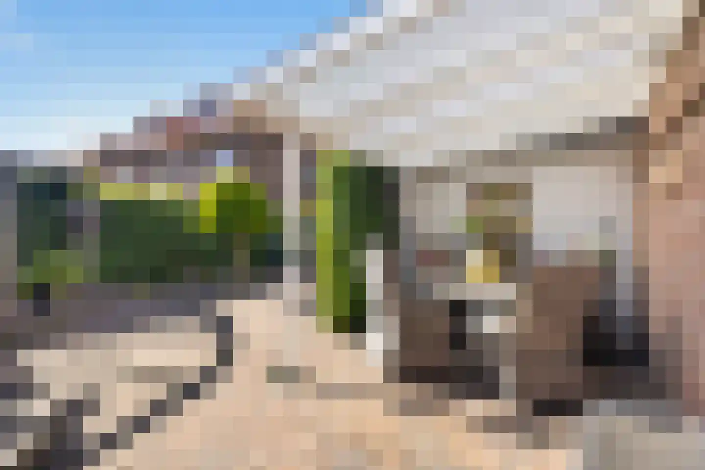 Nachtegaallaan 15 Ede thumbnail 40