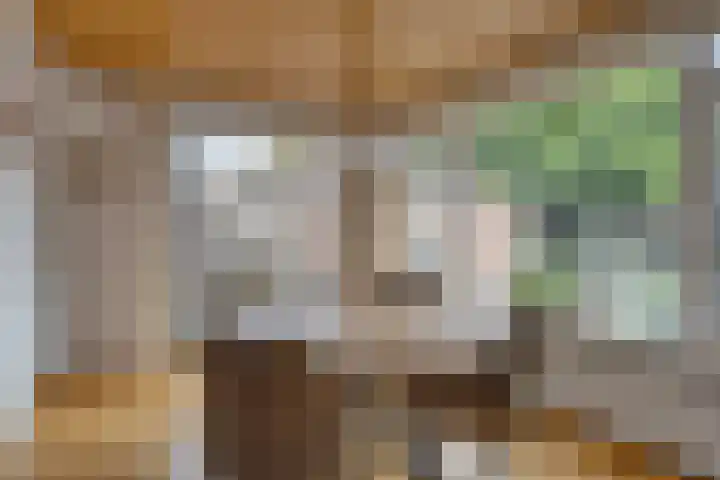 Nachtegaallaan 16 Son en Breugel thumbnail 11