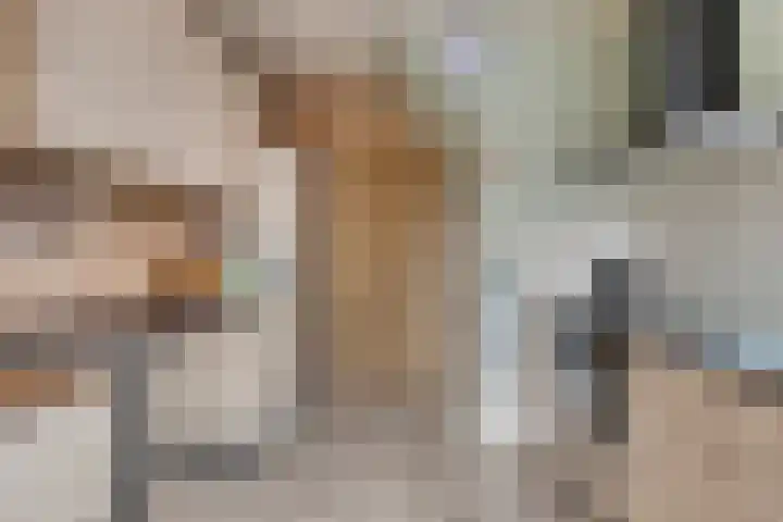 Nachtegaallaan 16 Son en Breugel thumbnail 12