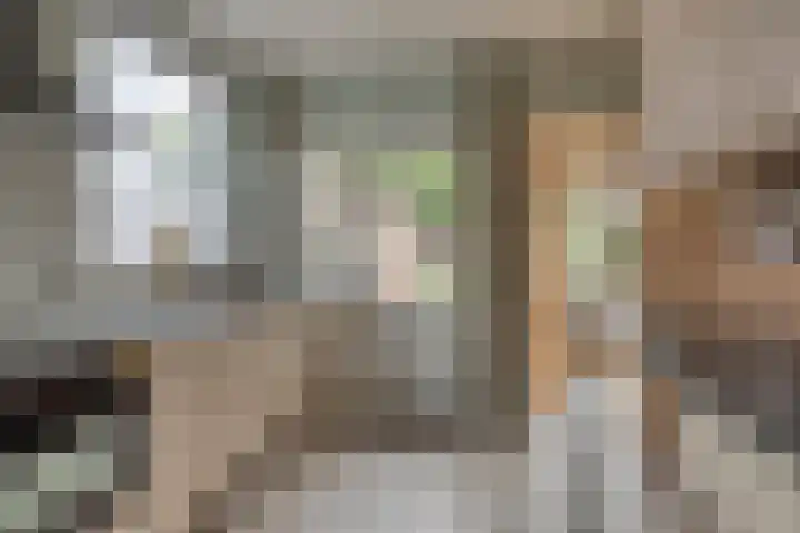 Nachtegaallaan 16 Son en Breugel thumbnail 13