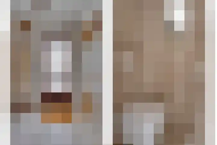 Nachtegaallaan 16 Son en Breugel thumbnail 15