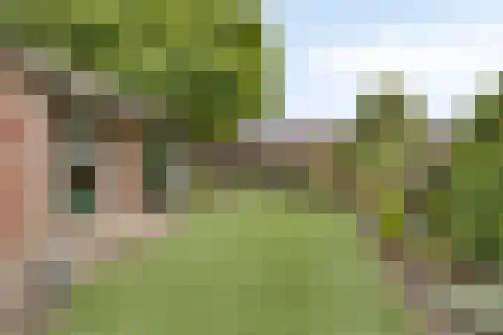 Nachtegaallaan 16 Son en Breugel thumbnail 25