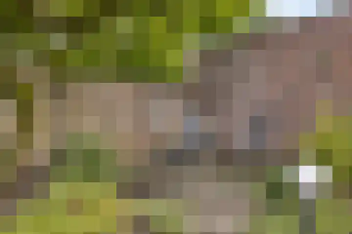 Nachtegaallaan 16 Son en Breugel thumbnail 26