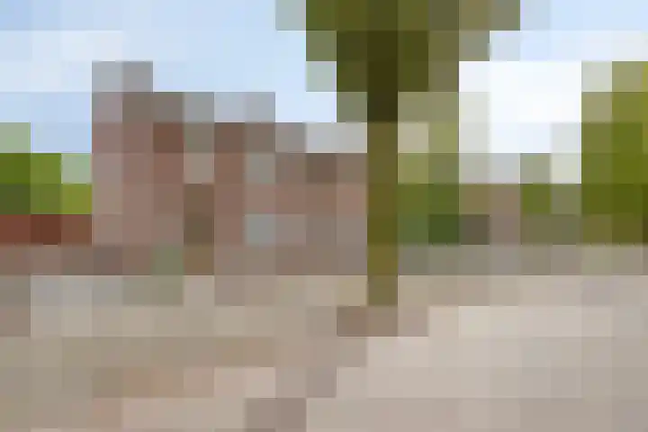 Nachtegaallaan 16 Son en Breugel thumbnail 30