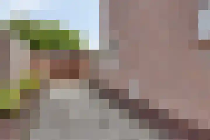Nachtegaallaan 16 Son en Breugel thumbnail 33