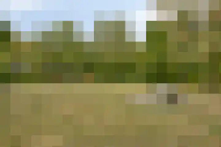 Nachtegaallaan 16 Son en Breugel thumbnail 34