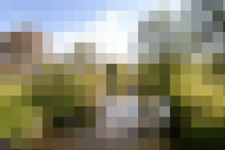 Nachtegaallaan 16 Son en Breugel thumbnail 36