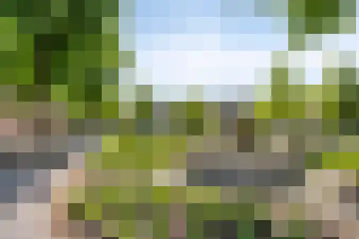 Nachtegaallaan 16 Son en Breugel thumbnail 37