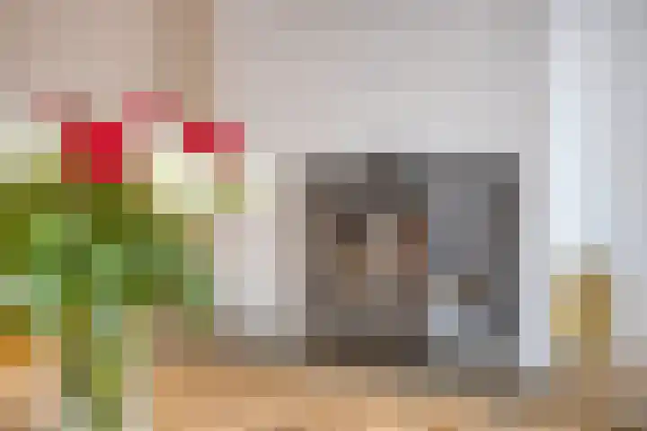 Nachtegaallaan 16 Son en Breugel thumbnail 7