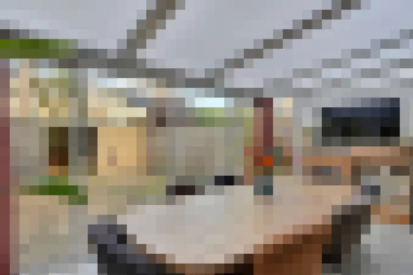 Nachtegaallaan 18 Maassluis thumbnail 11