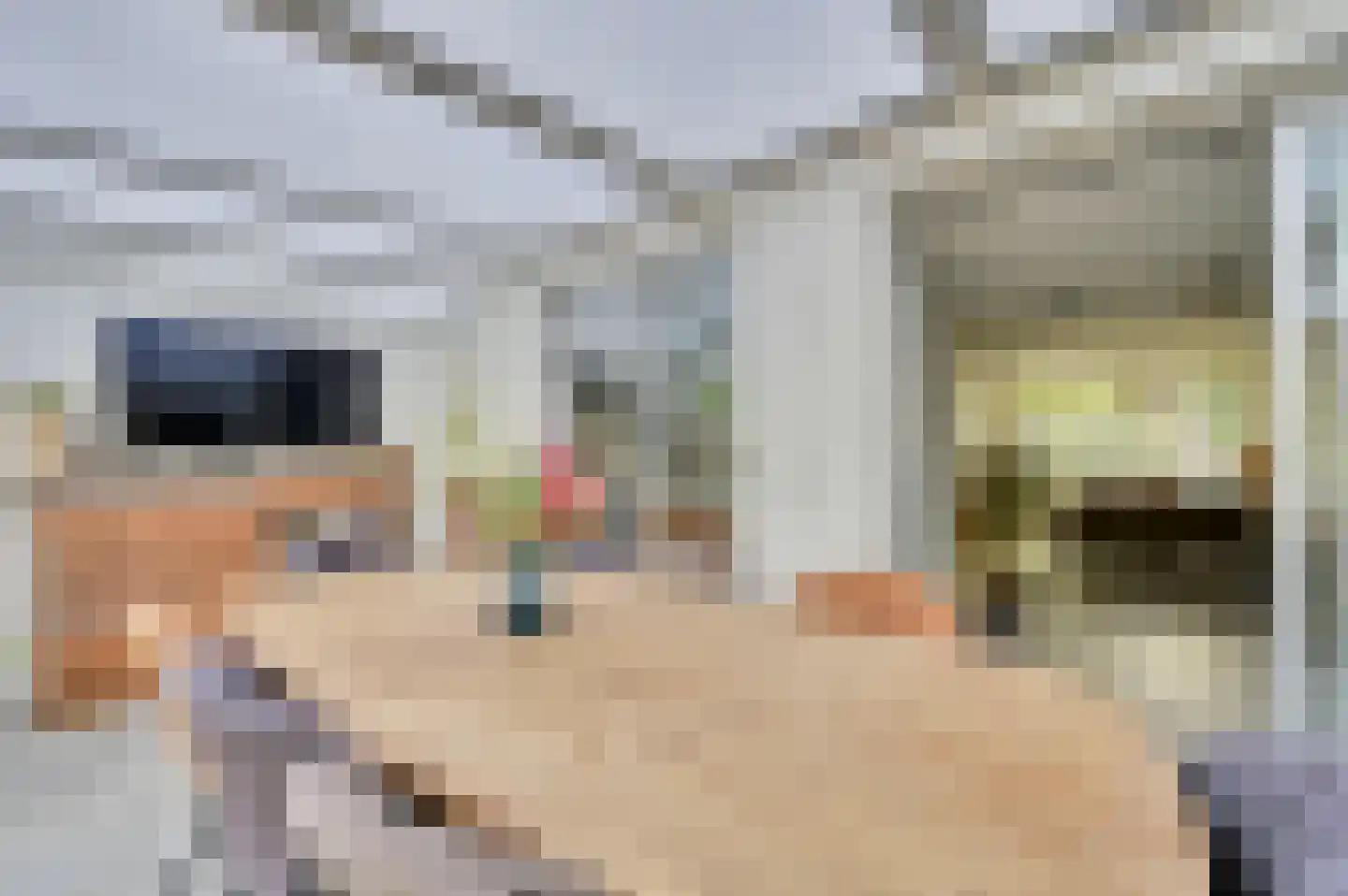 Nachtegaallaan 18 Maassluis thumbnail 12