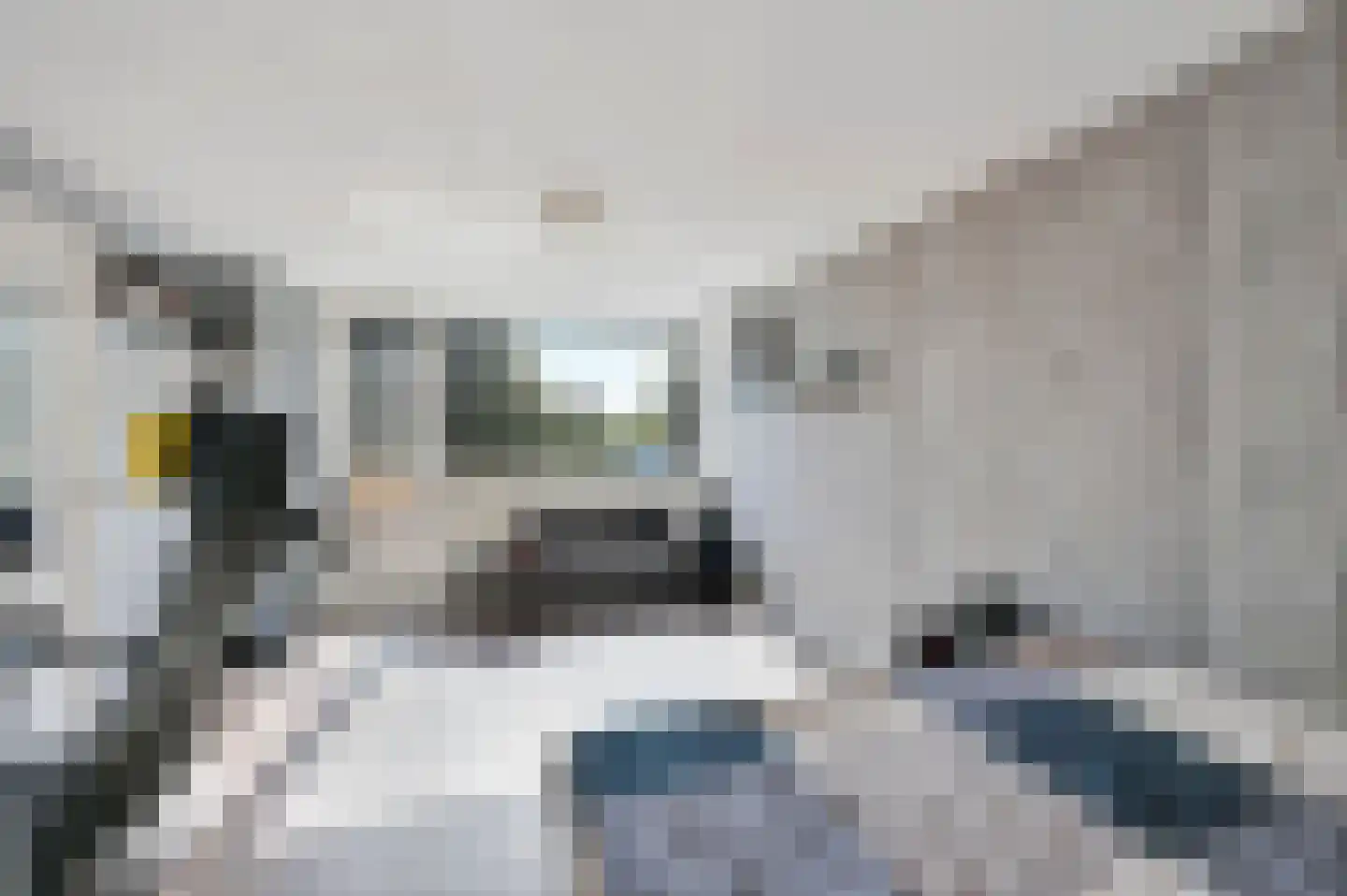 Nachtegaallaan 18 Maassluis thumbnail 23