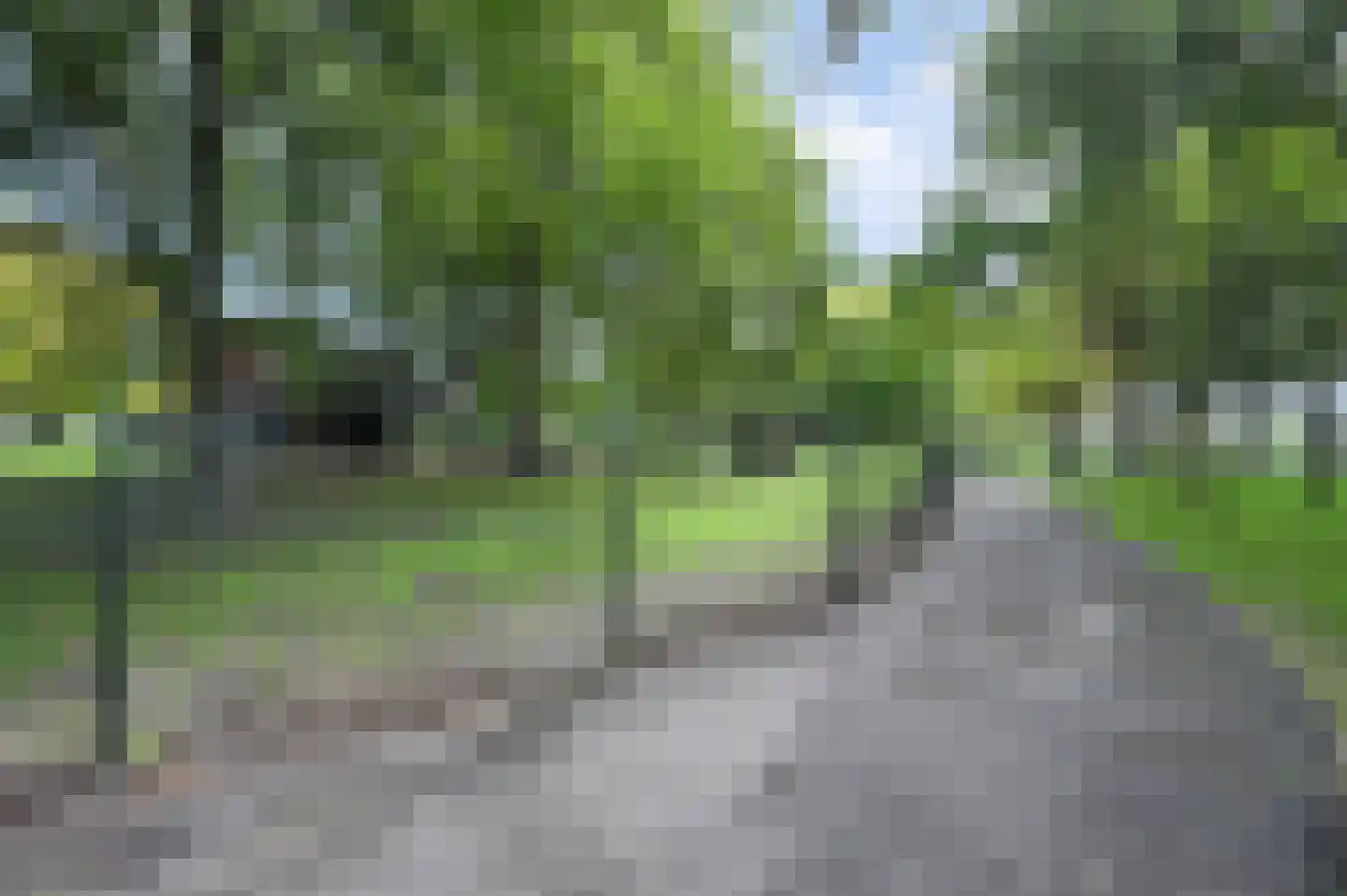 Nachtegaallaan 18 Maassluis thumbnail 41