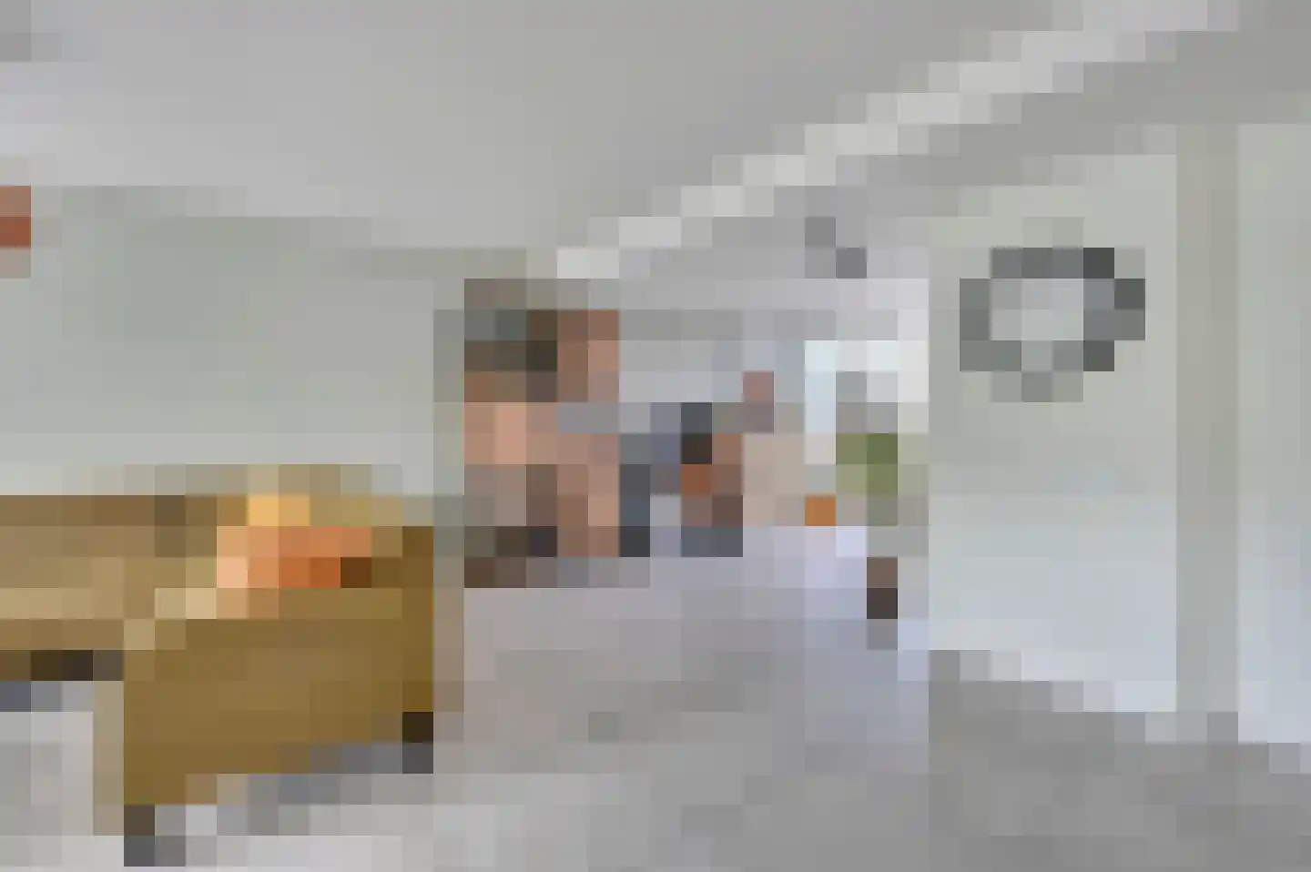 Nachtegaallaan 18 Maassluis thumbnail 6