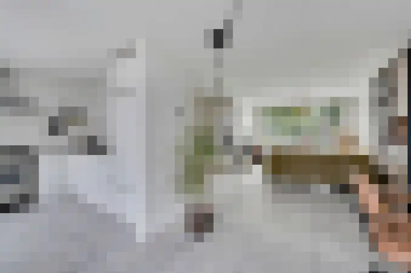 Nachtegaallaan 18 Maassluis thumbnail 8