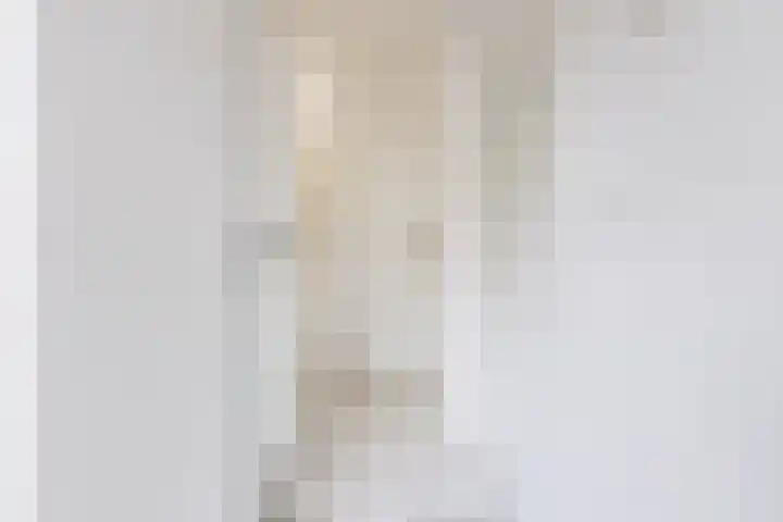 Nachtegaallaan 19 Anna Paulowna thumbnail 11