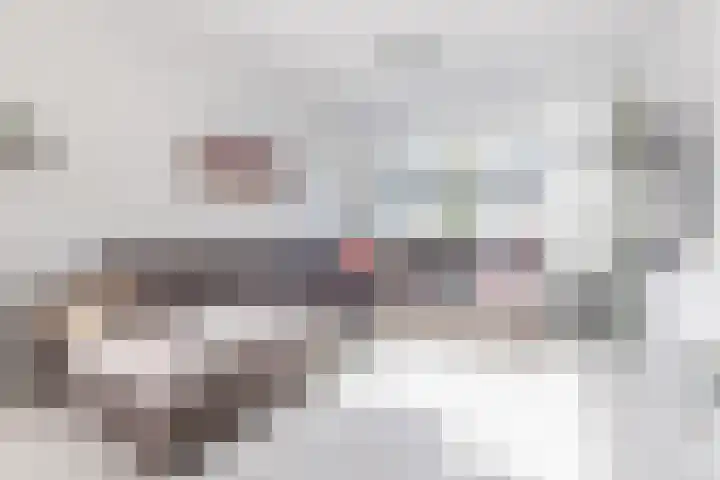 Nachtegaallaan 19 Anna Paulowna thumbnail 14